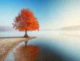 自‌动‍API接‌口‍软‌件‌